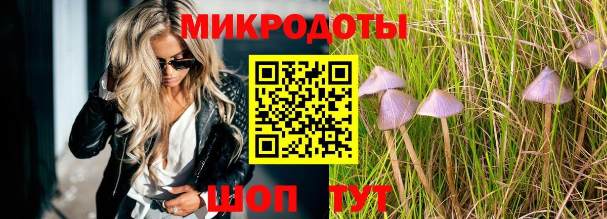 Галлюциногенные грибы Cubensis Урус-Мартан