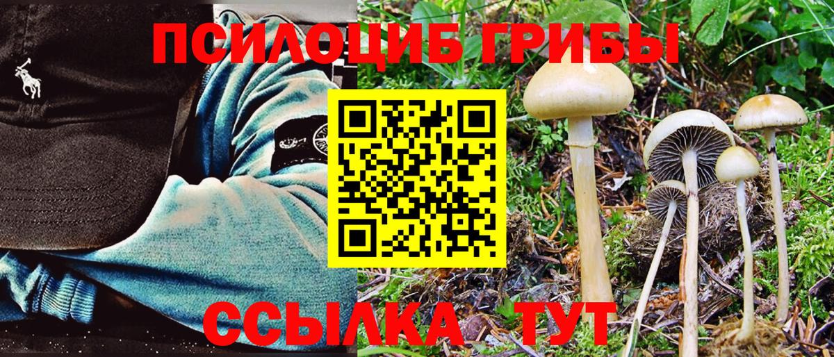 Галлюциногенные грибы Psilocybine cubensis  Вход с VPN  Урус-Мартан 